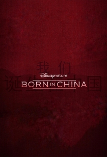 我们诞生在中国